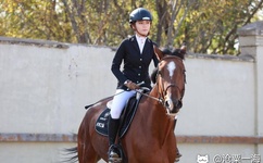 情色五月天网站